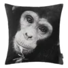 Housse De Coussin Cheeta -Pas Cher Zen Repos Magasin 1000172682 190423 08081800151 IMAGE P000000001000172682