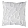 Housse De Coussin Diori -Pas Cher Zen Repos Magasin 1000232304 201211 10011100055 IMAGE P000000001000232304