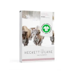 Parure De Lit GOTS Obrien -Pas Cher Zen Repos Magasin 1000258498 210521 12231305606 DETAILS P000000001000258498