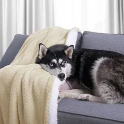 Plaid Leepy -Pas Cher Zen Repos Magasin 1000300780 211021 111405000024 MOOD DETAILS P000000001000300780 mood