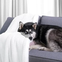 Plaid Leepy -Pas Cher Zen Repos Magasin 1000300839 211021 11140700293 MOOD DETAILS P000000001000300839 mood