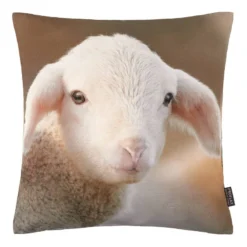 Housse De Coussin Bibi