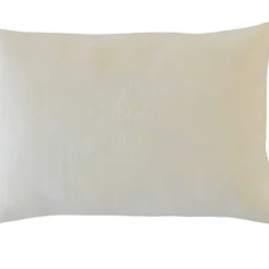 2 Oreillers Aloe Vera -Pas Cher Zen Repos Magasin 2885b5758c0a4e448c67296e6bd6fade.cropped 188 269 641 509.processed