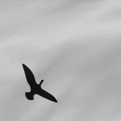 Trip Drap-housse -Pas Cher Zen Repos Magasin 2d28479d55ba4501b3bbe83d2a7de881