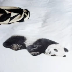 Snurk Parure De Lit Panda- 1 Personne 140x200 10 Snurk Parure De Lit Panda- 1 Personne 140x200 -Pas Cher Zen Repos Magasin 36a32e26200645aaa014e270daa37668