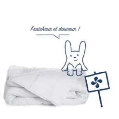 Couette Légère Spéciale été -Pas Cher Zen Repos Magasin 43a23b6ba29f48c2b063adba4fcd47bd