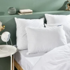 Lot 2 Oreillers Ergonomique Antiacariens -Pas Cher Zen Repos Magasin 4614081bdb764367af1e2afa23850c5b