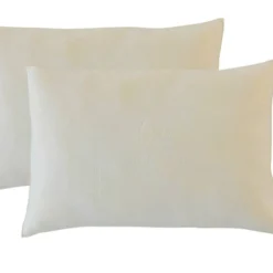 2 Oreillers Aloe Vera