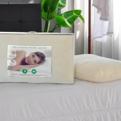 Oreiller Aloe Vera -Pas Cher Zen Repos Magasin 5787d1c01d814f1db4f678051cac1a7b 1