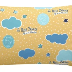 Navigateur Set Housse Couette 115x145 -Pas Cher Zen Repos Magasin 5f8aa59a90f94ae0846522cf452cd60a.cropped 87 426 1814 1148.processed