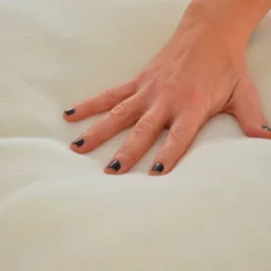 2 Oreillers Aloe Vera -Pas Cher Zen Repos Magasin 7899480472154be593860b3a54c77bea 2