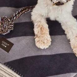 Couverture Noir -Pas Cher Zen Repos Magasin 7eed87e8c9ea459b9af1b782716d431d