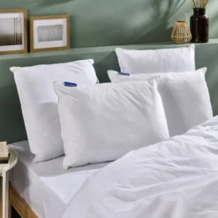 Oreiller Ferme Gonflant Carré 5 Oreiller Ferme Gonflant Carré -Pas Cher Zen Repos Magasin da0eeecfea664981a14164d8bc9ef722