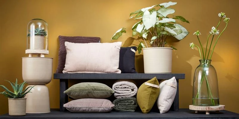 Coussin Balboa 12 Coussin Balboa – Image 10