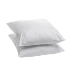 Lot De 2 Oreillers Moelleux Hygiafill