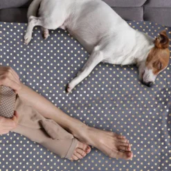 Plaid Gris Points Dorés -Pas Cher Zen Repos Magasin f93c034ca78b421294ae7fc3efdc36b0