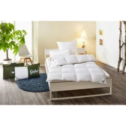 Couette Fjödur Fiona III -Pas Cher Zen Repos Magasin kassettendecke fjoedur fiona iii federn daunen weiss 135 x 200 cm 4719984