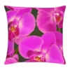 Housse De Coussins Orchidee -Pas Cher Zen Repos Magasin kissenhuelle orchidee lila 372585